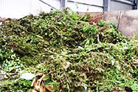 Green Waste Clearance